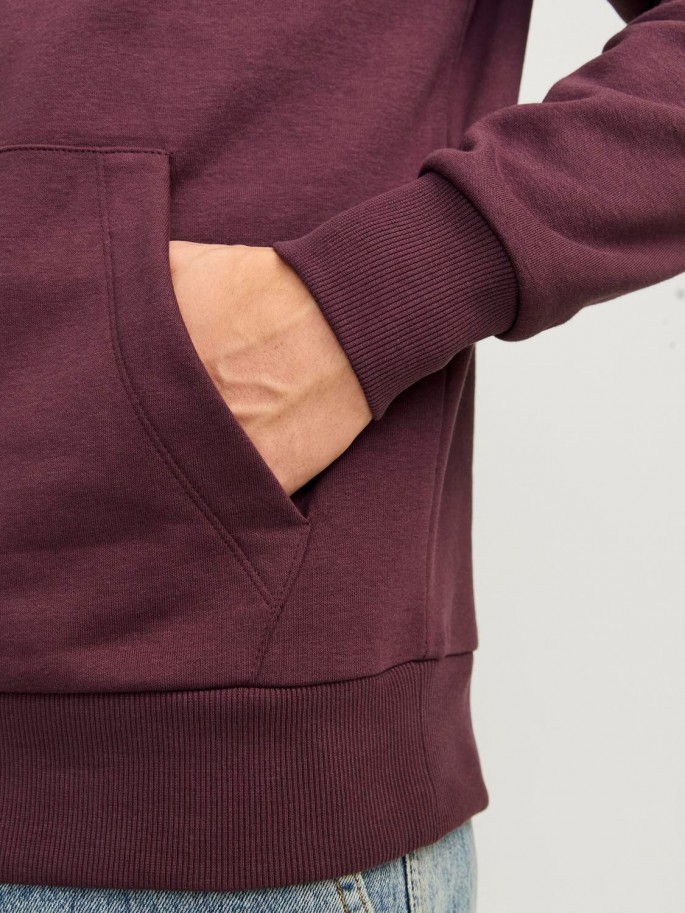 JJECALEB VARSITY SWEAT HO NOOS VINO