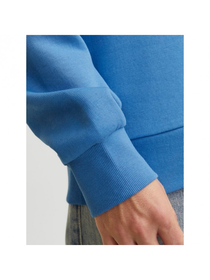 JJELOGO SWEAT HOOD 2 COL  NOOS AZUL...