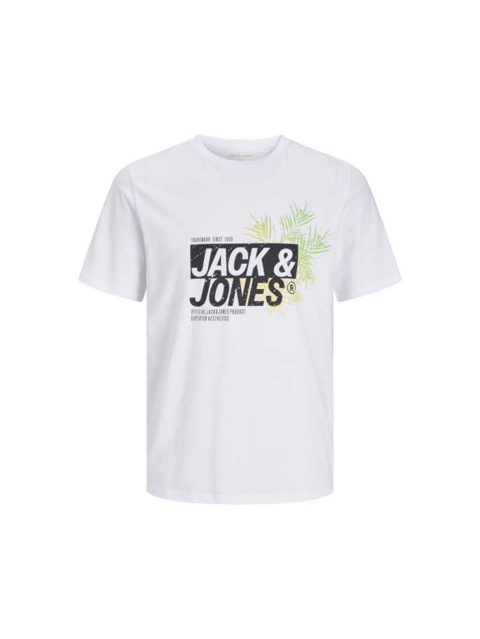 Jack & Jones AXON TEE SS...