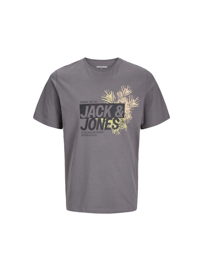 Jack & Jones AXON TEE SS...