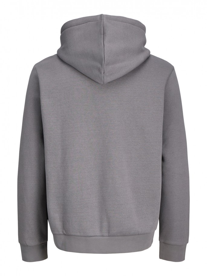 Jack&Jones FUSION Sudadera capucha...