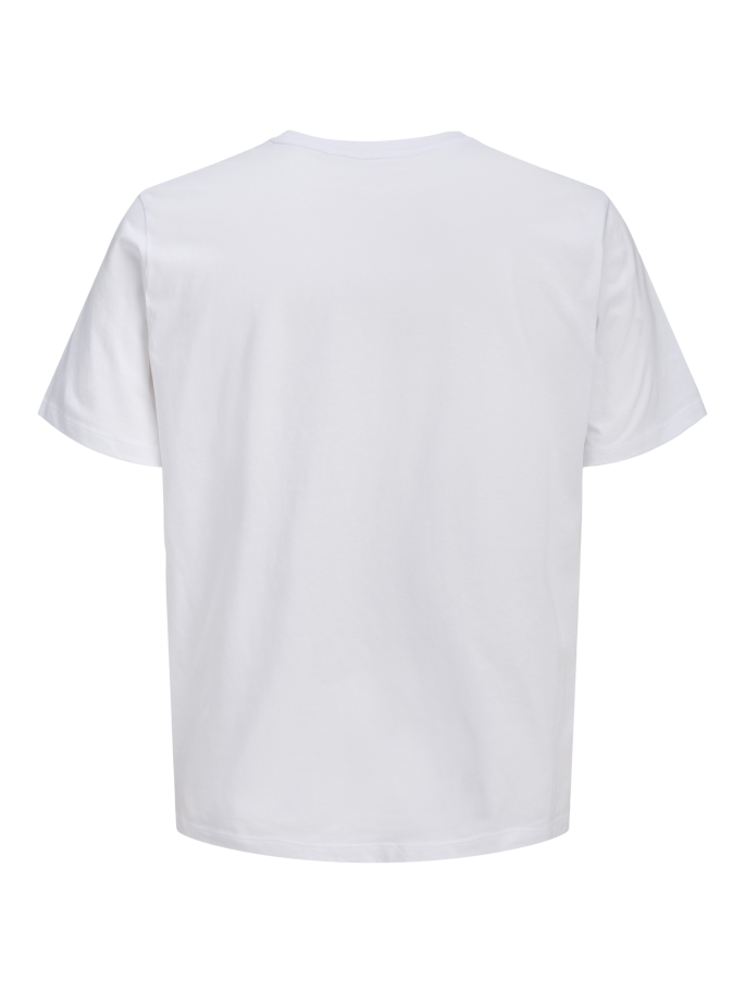 JACK&JONES COLE CAMISETA... 2