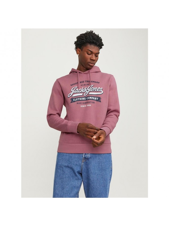 JJELOGO SWEAT HOOD 2 COL...